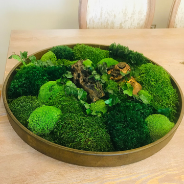 Sage & Twine Blog post about DIY Moss Wall Art That Anyone Can Create