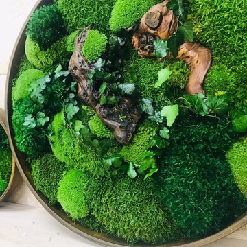 Step into the Future: Moss Wall Art Bathrooms in 2023