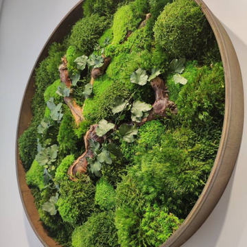 Sage and Twine Blog Post About The Healing Powers of Moss: A Natural Stress Reliever