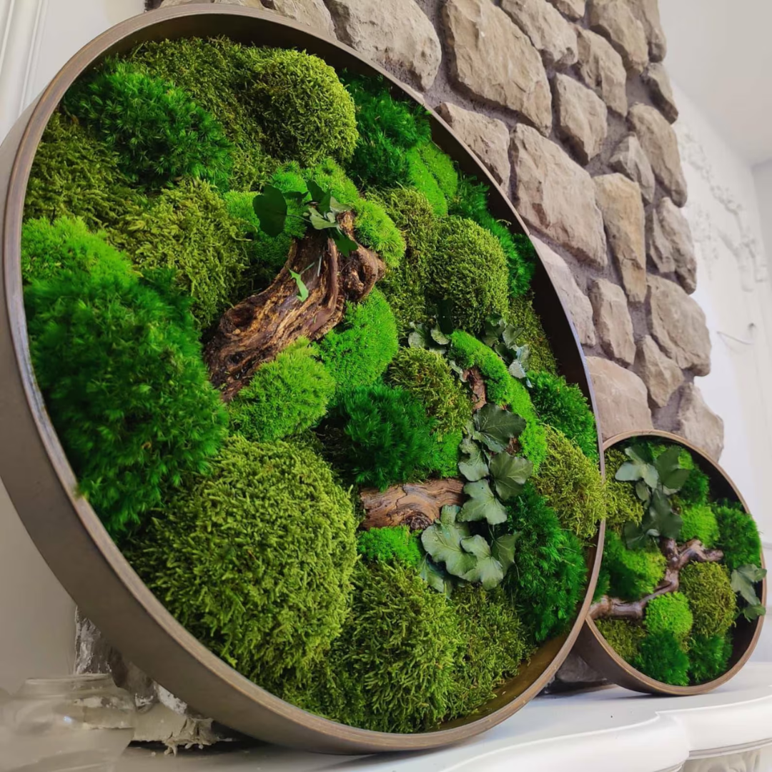 Moss online wall art