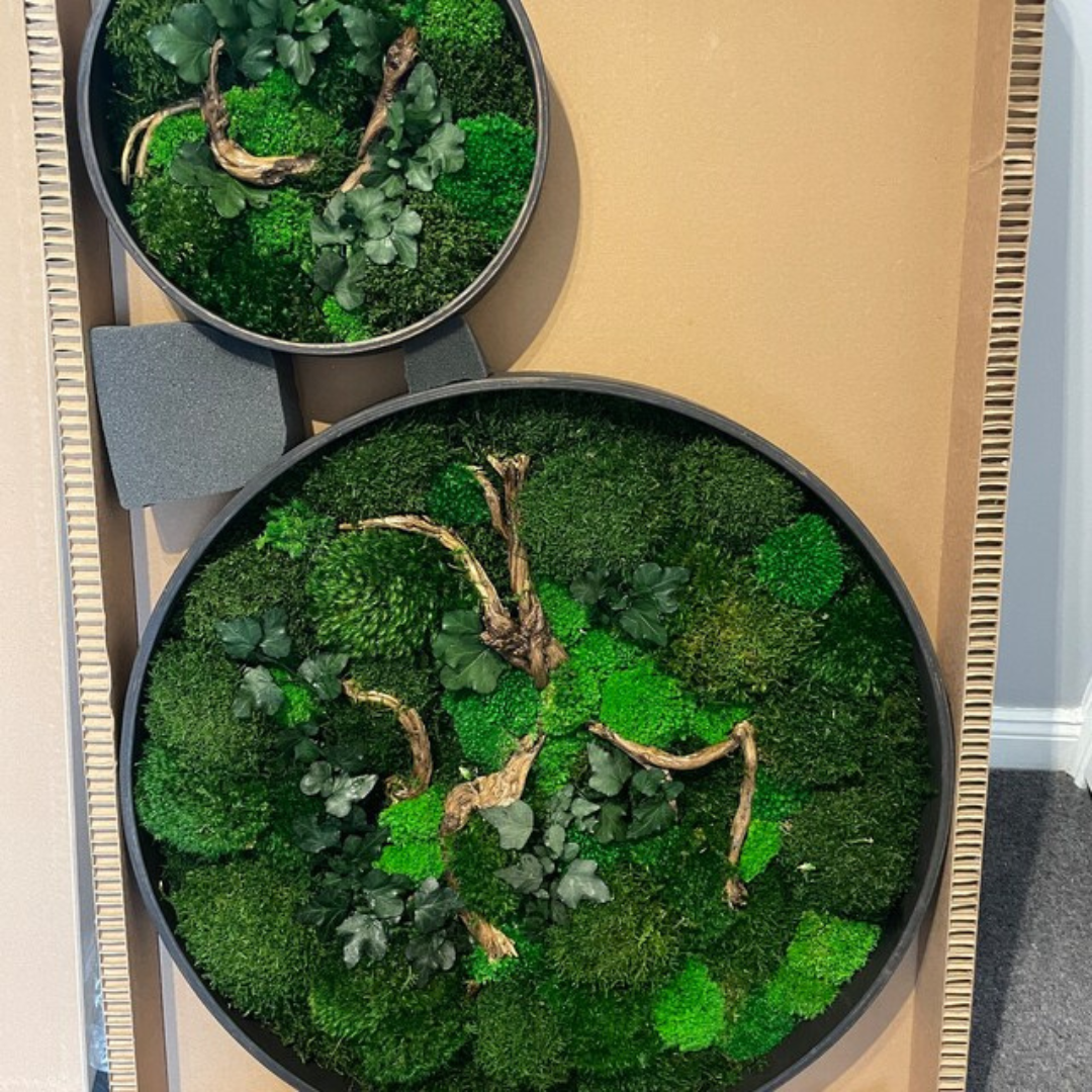Step into the Future: Moss Wall Art Bathrooms in 2023