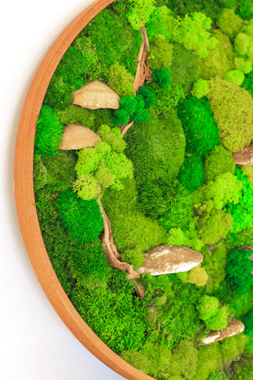 Does Preserved Moss Go Bad? The Truth About Moss Wall Art