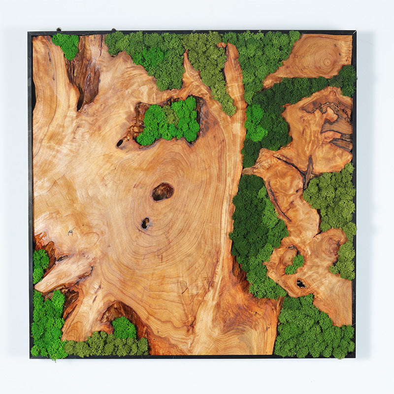 Verdant Horizon Olive Wood Moss Art