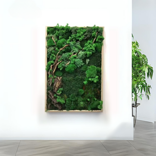 Moss Wall Art: Medium Hanging Gardens in Beech.