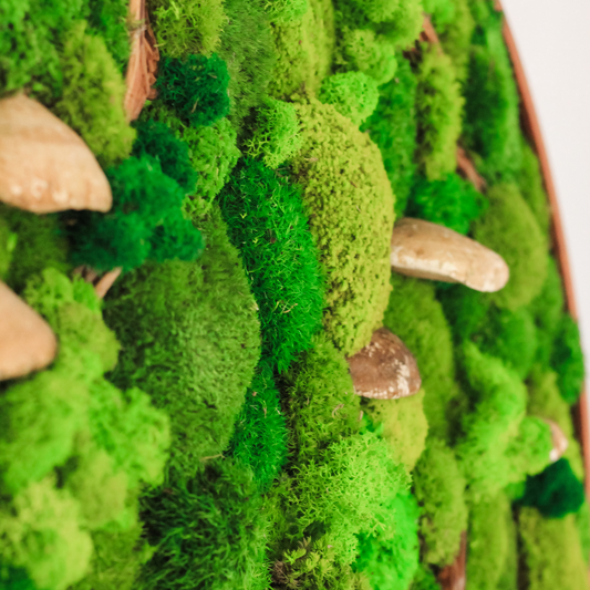 Moss Wall Art Circle