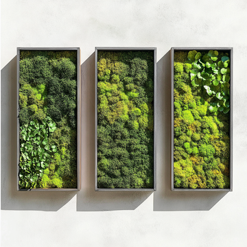 Tranquil Trio: Three-Panel Preserved Moss Wall Art