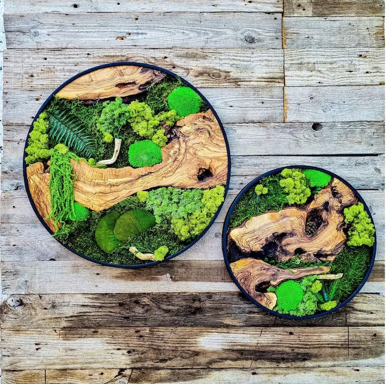 Sage & Twine Blog post about How Long Does a Moss Wall Art Last?