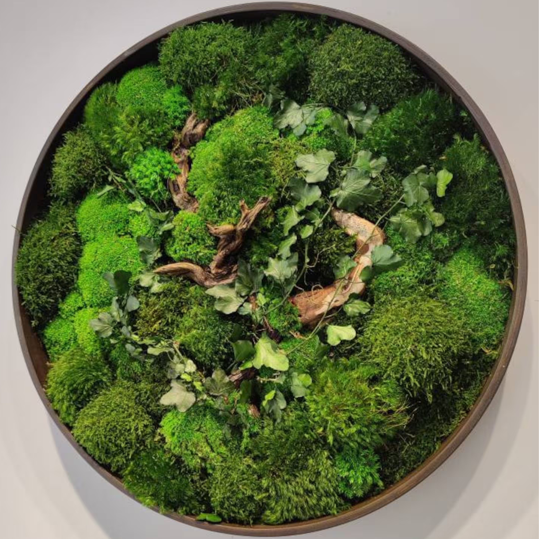 What Is Moss Wall Art What Is Moss Wall Art