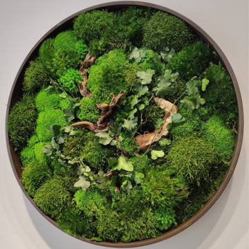 What is Moss Wall Art? A Deep Dive into Nature's Luxurious Decor