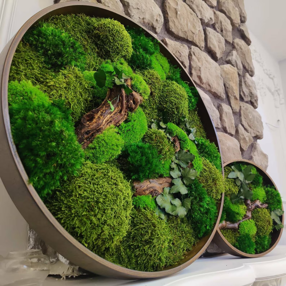 The Beauty and Elegance of Moss Wall Art