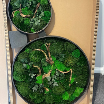 The Elegance of Moss Wall Art