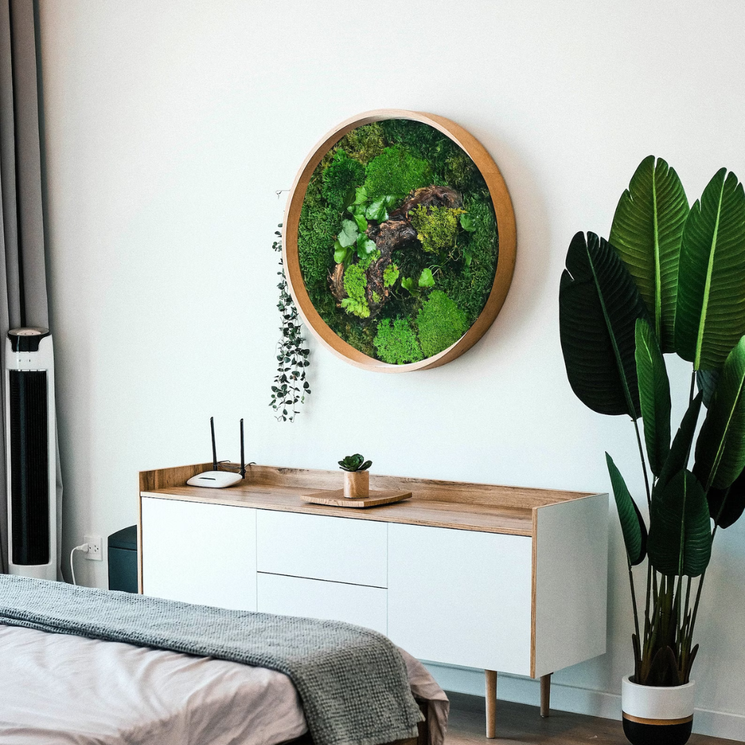 Moss Wall Art: A Luxurious Addition to Your Home