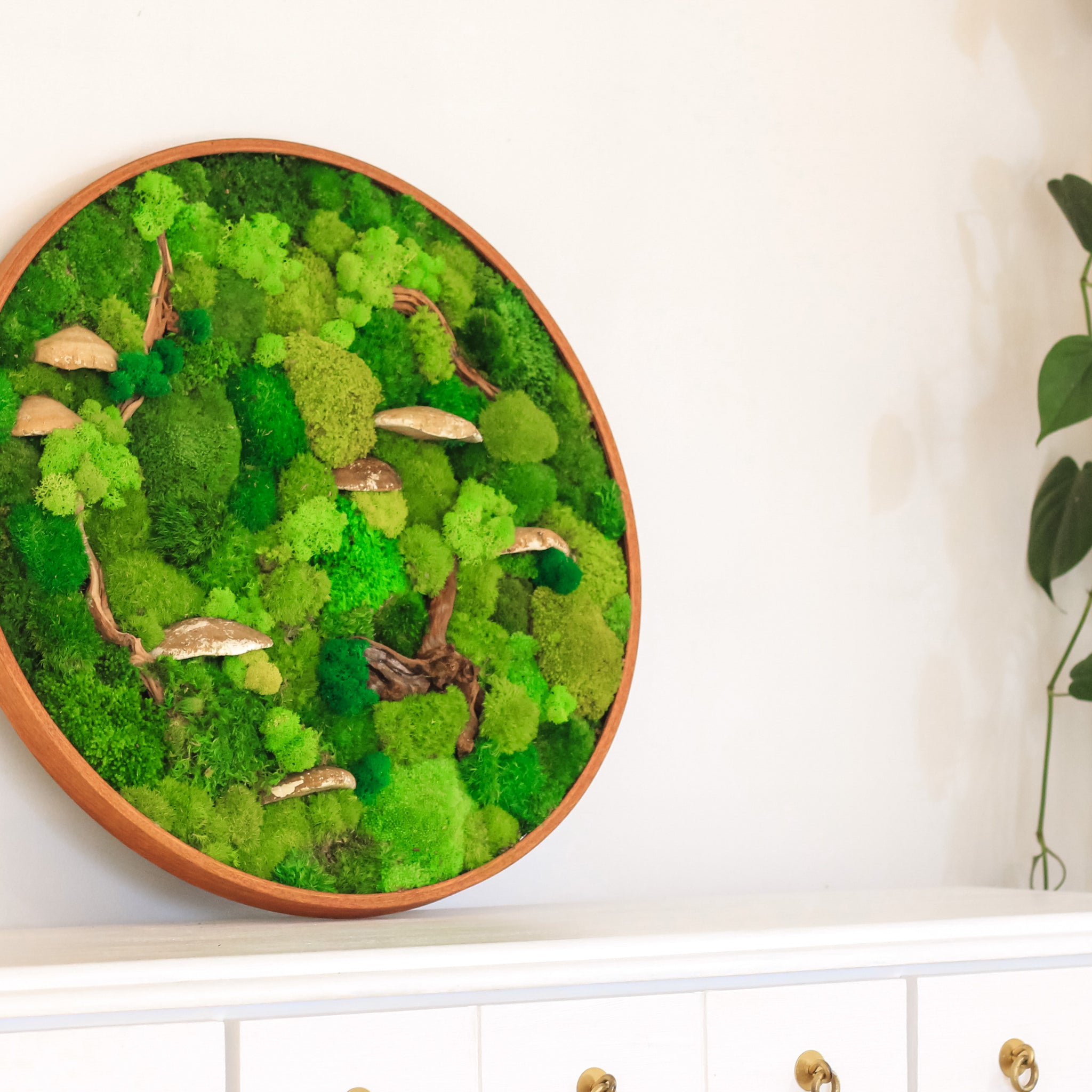 Illuminate Your Space: Moss Wall Art with Lights