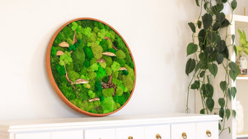 Illuminate Your Space: Moss Wall Art with Lights