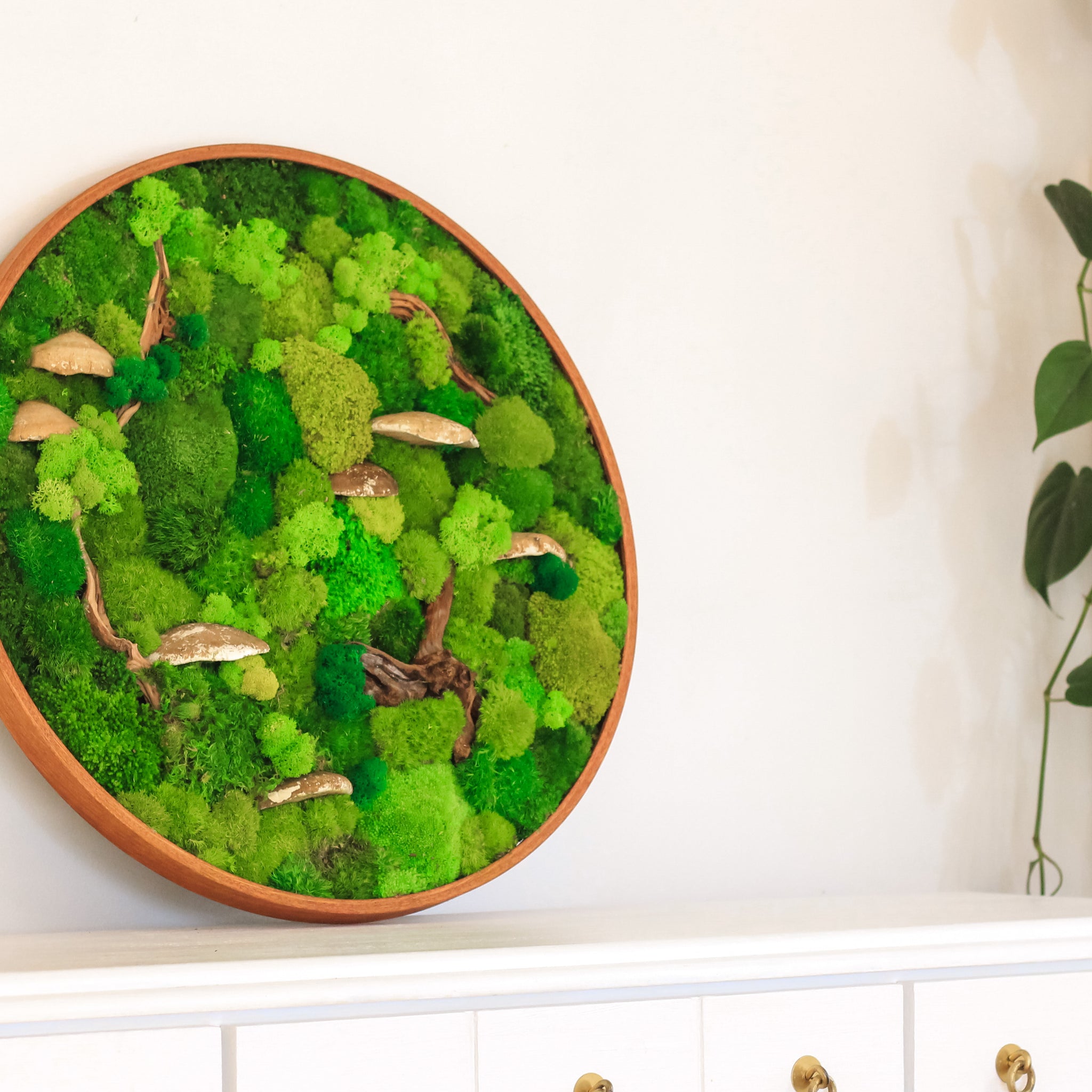 Moss Wall Art: A Natural Touch to Aquariums