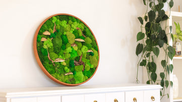 Moss Wall Art: A Natural Touch to Aquariums