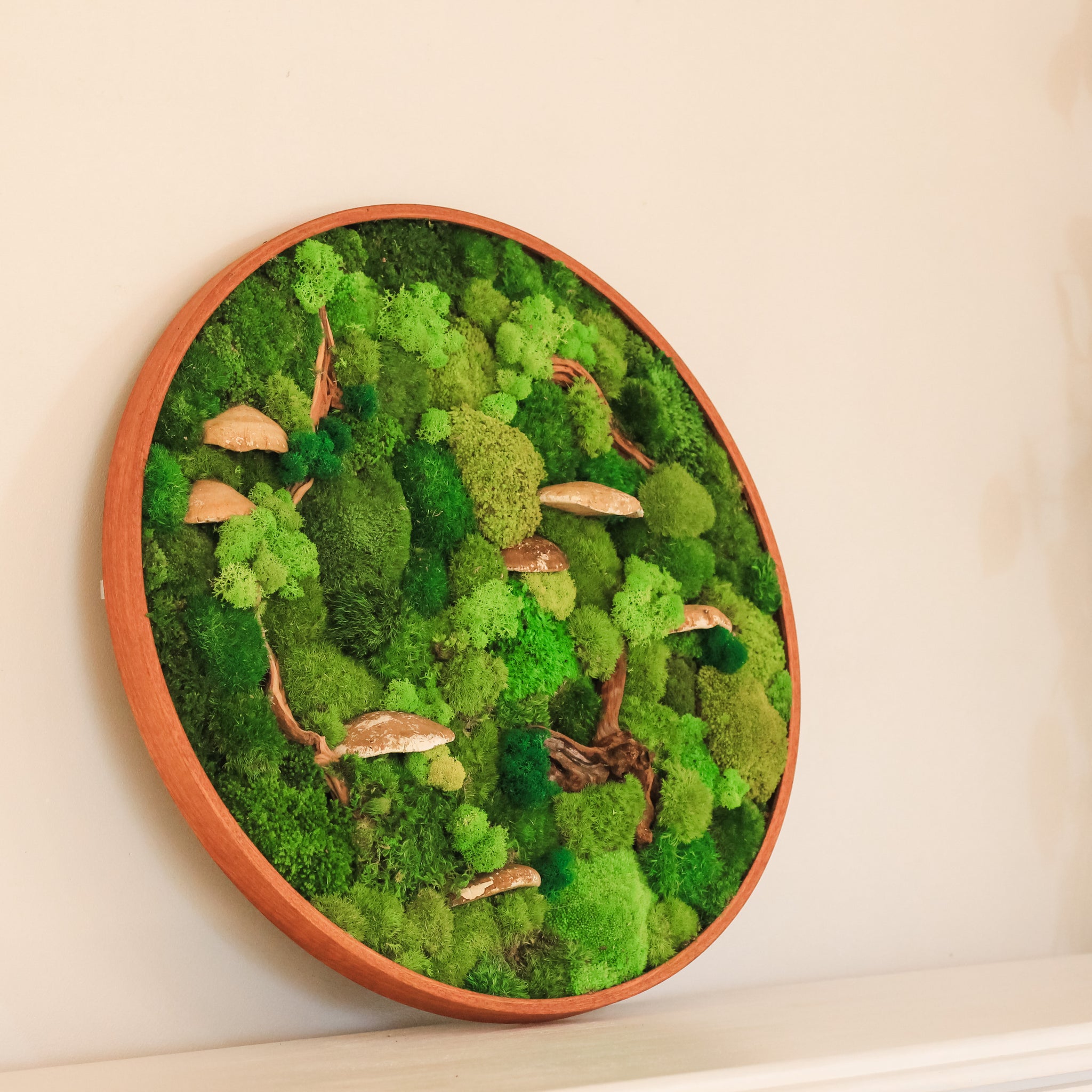 Preserved Moss Wall Art: Can It Get Wet?