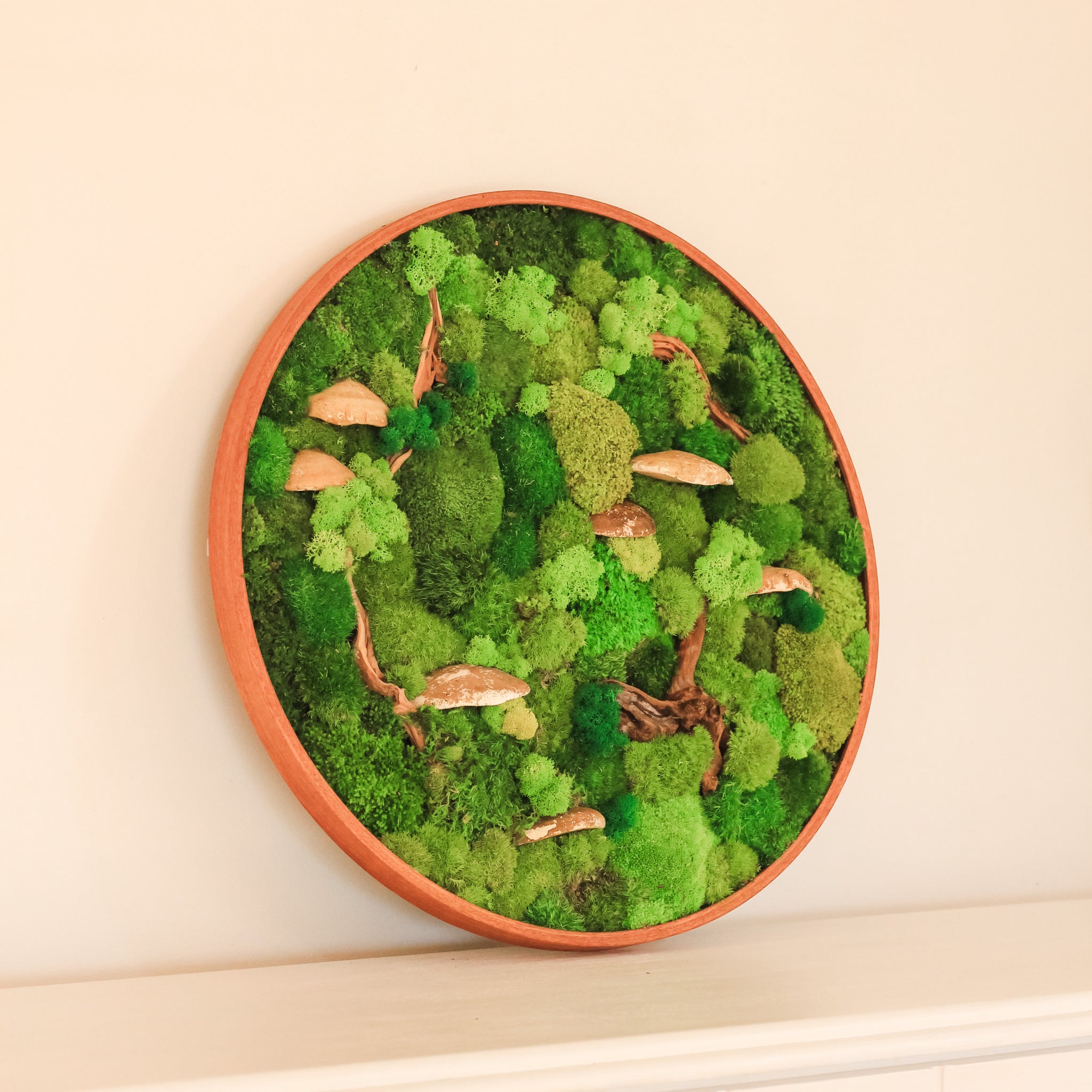 Is Moss Wall Alive? Unraveling the Mystery of Moss Wall Art