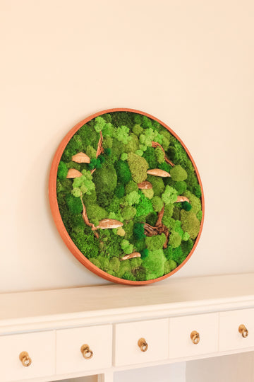 Is Moss Wall Alive? Unraveling the Mystery of Moss Wall Art