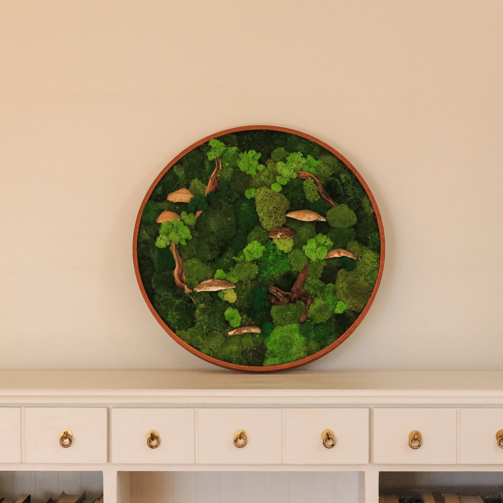 Can Preserved Moss Grow? Unraveling the Mysteries of Moss Wall Art