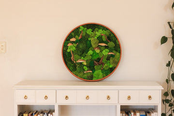 Make It Personal: Moss Wall Art with Your Name