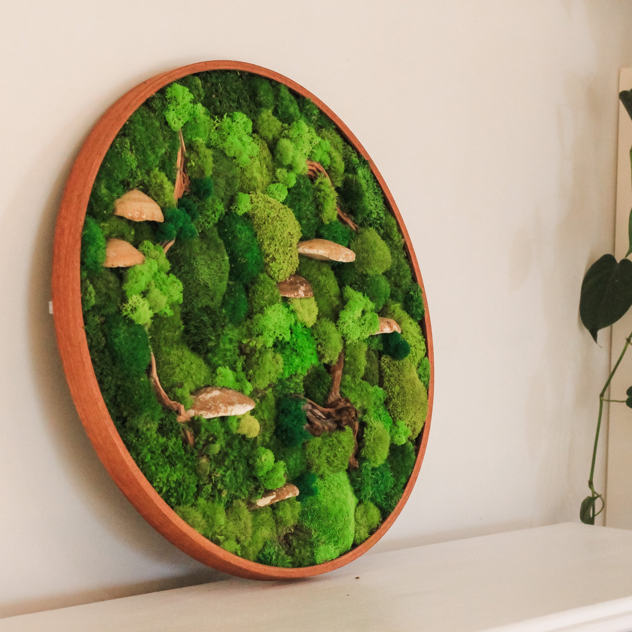 The Elegance of Moss Wall Art