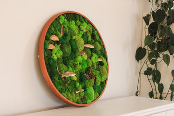 The Elegance of Moss Wall Art