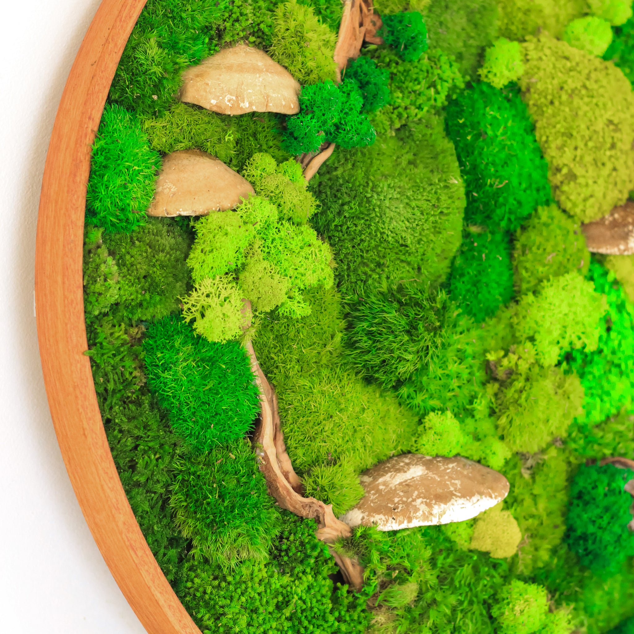 Does Preserved Moss Go Bad? The Truth About Moss Wall Art