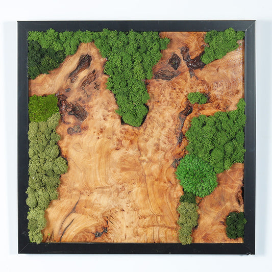 Verdant Horizon Olive Wood Moss Art