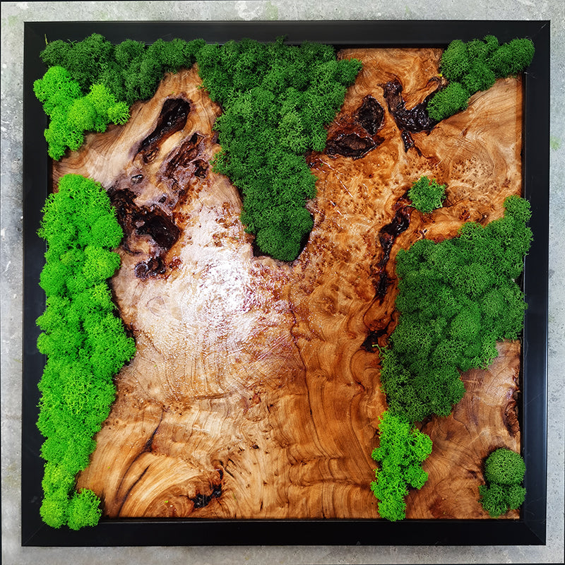 Verdant Horizon Olive Wood Moss Art