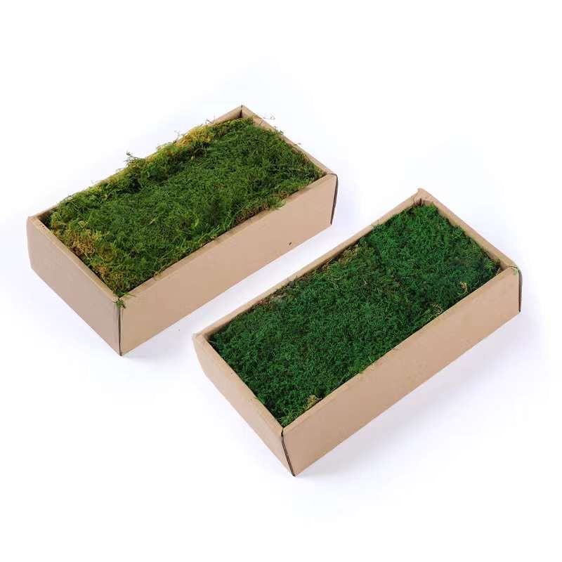 Preserved Moss Tiles (One Square Metre)- Indoor Landscape